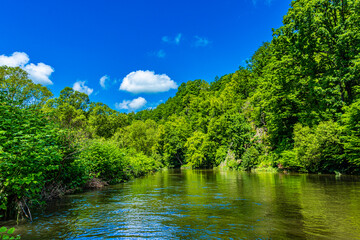 River in the forest with blue sky and white clouds in a summer
