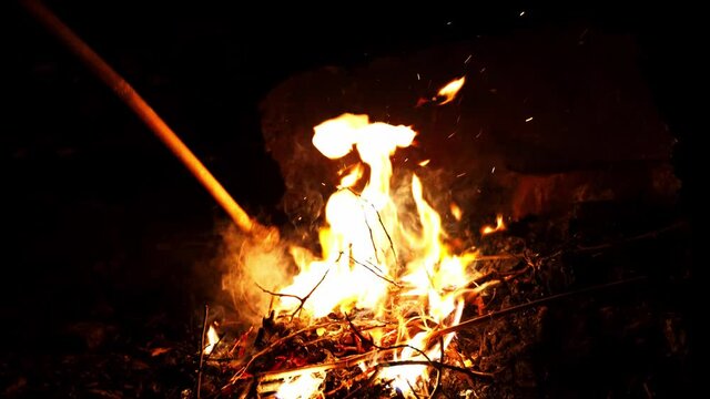 fire and flames buring tree branch