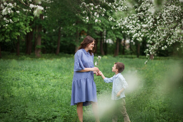 Naklejka na ściany i meble Happy and beautiful mother and son in clothes of blue tones walking in a blossoming apple orchard. The concept of spring, motherhood, happy family, relationships.