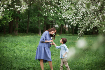 Naklejka na ściany i meble Happy and beautiful mother and son in clothes of blue tones walking in a blossoming apple orchard. The concept of spring, motherhood, happy family, relationships.