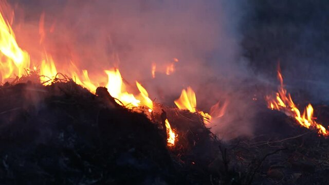 Last year's dry grass burns, smolders and smokes closeup