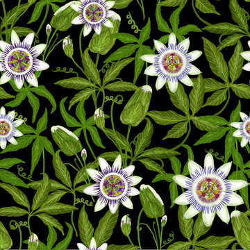 Seamless pattern with tropical passion flowers