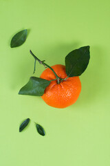 Juicy summer tangerine with leaves on a colored green background, flat lay, minimalism