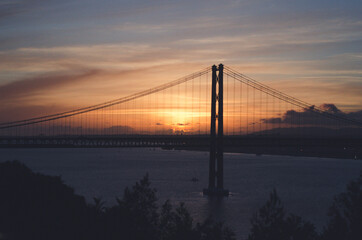 sunset over the bridge. big bridge in the sunset rays