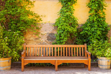 Wood bench against a bright yellow old brick wall. The texture of destruction on the wall. Greens and climbing plants.