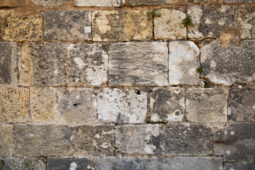 Very old masonry with some grass.