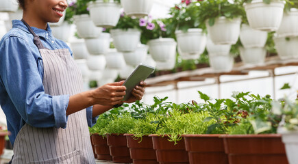 Modern farming and cultivation of plants. African american girl in apron and with digital tablet,...
