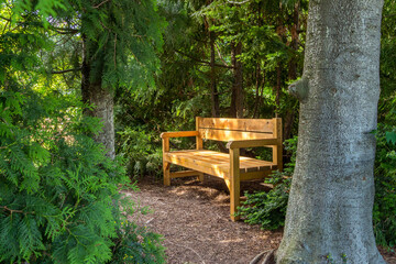 Wooden bench in the Park among the trees. Recreation area in the Park. Privacy in the shade and tranquility. The place of love dates in the city Park. Bench among the green firs.