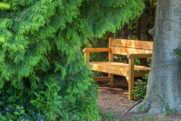 Obraz premium Wooden bench in the Park among the trees. Recreation area in the Park. Privacy in the shade and tranquility. The place of love dates in the city Park. Bench among the green firs.