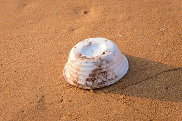 Garbage on the beach That come from tourists and fishmen, plastic waste, form cup and rope on the...