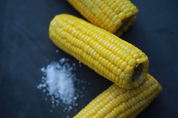 Freshly made fragrant ear of corn with salt. Farm snack of fresh corn. Healthy breakfast and healthy lifestyle concept.