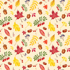 Colourful autumn seamless pattern with watercolor leaves and berries on light beige pink background. Maple and oak leaf, rowan berry branch, acorn, chestnut, ginkgo foliage. Fall nature illustration.