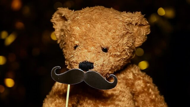 footage of toy bear moustache