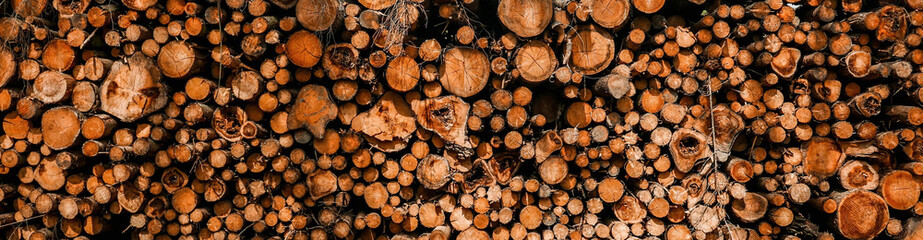 cut wood in the forest lined up on a pile