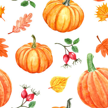 Watercolor autumn seamless pattern with orange pumpkins, colourful tree leaves and red berries. Fall botanical floral print on white background. Decorative hand painted illustration, holiday design.