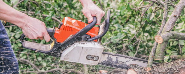 A man with a chainsaw sawing a tree fallen after a hurricane