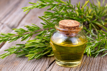 Green rosemary and rosemary oil