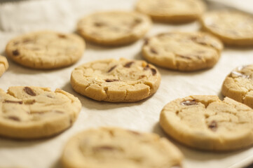 Rows of Cookies