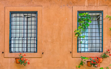 Rome Italy, vintage house two windows with potted flowers on vibrant magenta ocher wall