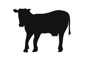 profilo di mucca emblema per brodo carne derivati formaggi latticini yogurt etichetta contenitore surgelati macelleria a base di bovino busta