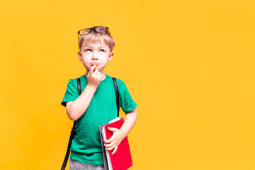 Back to school, little schoolboy posing on camera, the boy thought