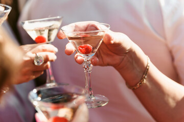 Cropped view of adult man or woman holding wine glass