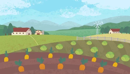Fototapeten Bauernhof Vector illustration with farm landscape growing cabbage and carrot crops in cartoon style. Outdoor landscape background. Spring farm field scene for banner or poster design.   © Eichi
