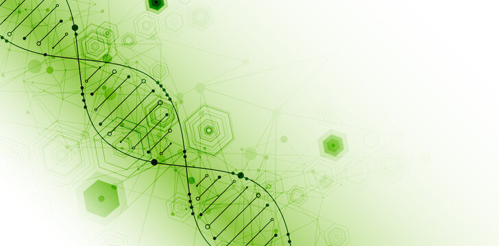 Science template, abstract background with a DNA molecules. Vector illustration.