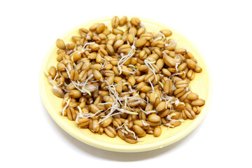 Wheat seeds with sprouts on plate.