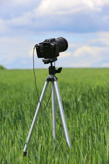 Photocamera on tripod on meadow