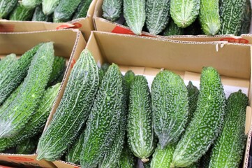 Bitter melon (Goya) on a shelf in supermarket in Japan. Goya is popular especially in Okinawa...