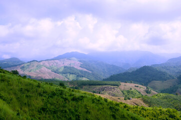 The deforestation of tribal for agriculture farm on the mountain in Thailand