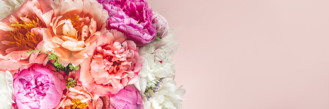 Abundance of Fresh bunch of Peonies Bouquet of different pink colors on light background. Card Concept, copy space for text, banner size © manuta