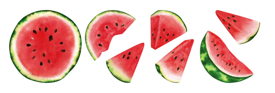 Hand-drawn watercolor set of sliced ripe red watermelon isolated on white background.Watercolor fruit illustration for farm market menu. Healthy food design. 3 August International watermelon day.