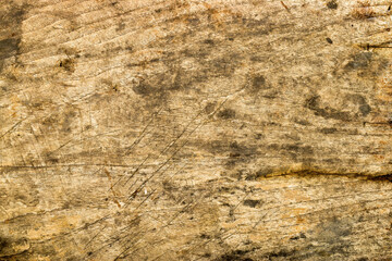 old wood texture for background