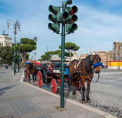 horse cart in the streets of Rome