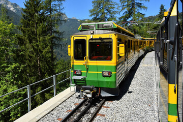 Obraz premium Beautiful scenery with yellow and green train - Bernese Highlands Railway, from Lauterbrunnen village to Grindelwald , Jungfrau region, Bernese Oberland, Switzerland