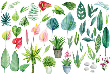  set of jungle plants, leaves, flowers watercolor boho illustration, botanical painting