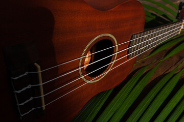 Obraz premium Brown Ukulele