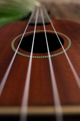 Obraz premium Brown Ukulele