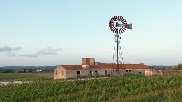 Old windmill next to a rustic house in a vineyard