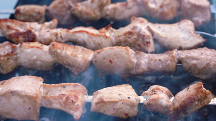 Tasty kebab is fried on the grill with smoke. Close, meat
