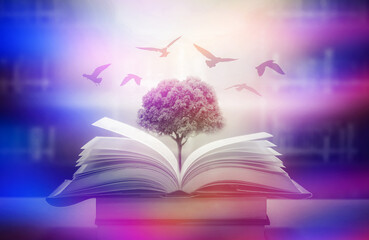 The concept of education by planting knowledge trees and birds flying to the future to open old books in the library, beautiful blurred background	
