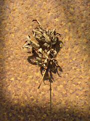 Dry gold leaf on rusty steel surface. Corroded steel plate exposed to brihgt sunlight. Abstract rust background.