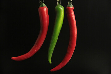 fresh organic peppers on a black background