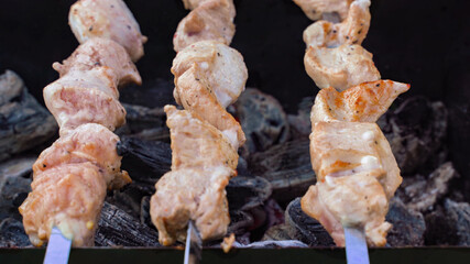 Tasty and juicy barbecues are turned over on grill. Barbecue With Grilled Meat