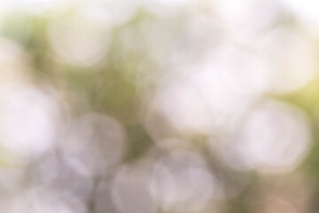 green bokeh background,green bokeh abstract