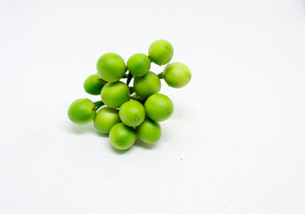 
Fresh green eggplant, a medicinal plant