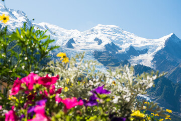 Chamonix-Mont-Blanc, France. Beautiful Alpine landscape with snow covered Mont Blanc mountain in summer through blurry colorful flowers at chalet balcony. Haute-Savoie relaxing vacation background.