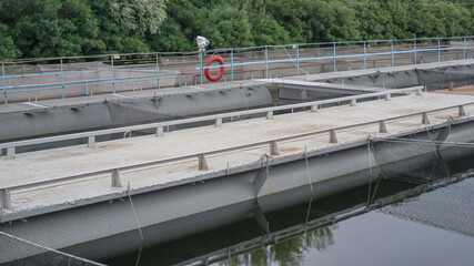 Plant for growing sturgeon and caviar for the food industry. tanks with clean water for beluga and...